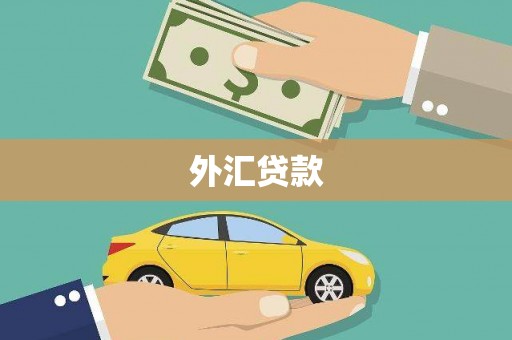 浑南外汇贷款