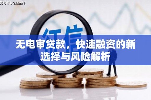 浑南无电审贷款，快速融资的新选择与风险解析