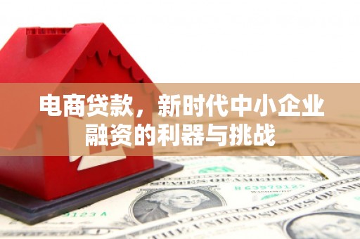 浑南电商贷款，新时代中小企业融资的利器与挑战