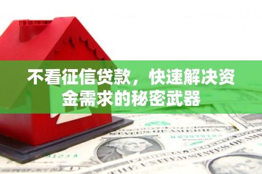 浑南不看征信贷款，快速解决资金需求的秘密武器