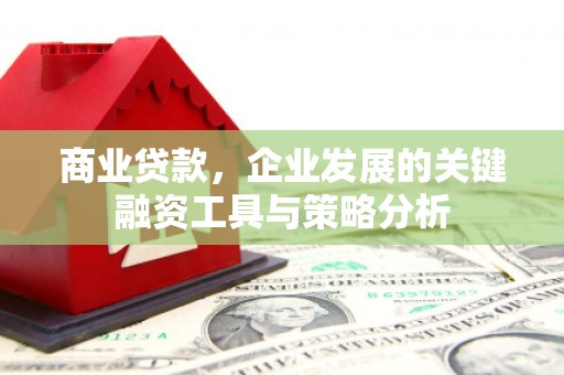 浑南商业贷款，企业发展的关键融资工具与策略分析