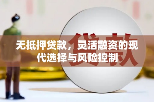 浑南无抵押贷款，灵活融资的现代选择与风险控制