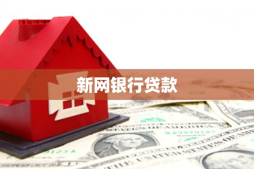 浑南新网银行贷款