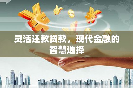 浑南灵活还款贷款，现代金融的智慧选择