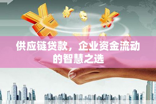 浑南供应链贷款，企业资金流动的智慧之选