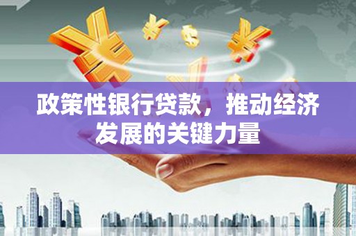 浑南政策性银行贷款，推动经济发展的关键力量