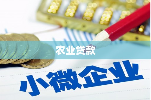 浑南农业贷款
