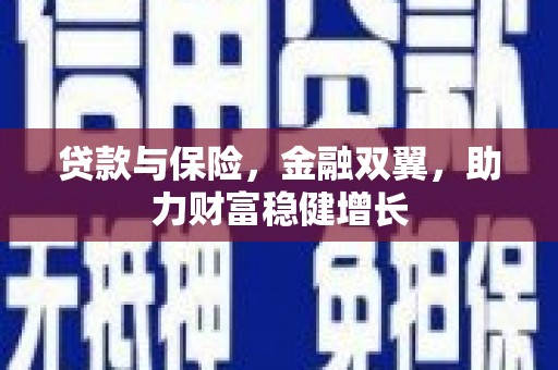 浑南贷款与保险，金融双翼，助力财富稳健增长
