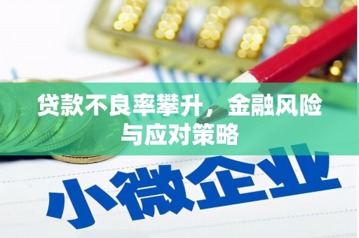 浑南贷款不良率攀升，金融风险与应对策略