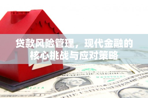 浑南贷款风险管理，现代金融的核心挑战与应对策略