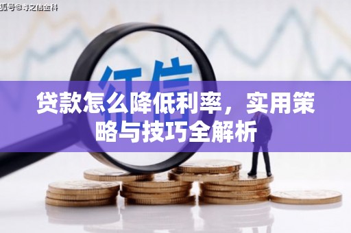 浑南贷款怎么降低利率，实用策略与技巧全解析