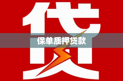 浑南保单质押贷款