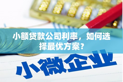 浑南小额贷款公司利率，如何选择最优方案？