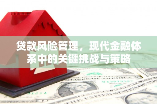 浑南贷款风险管理，现代金融体系中的关键挑战与策略