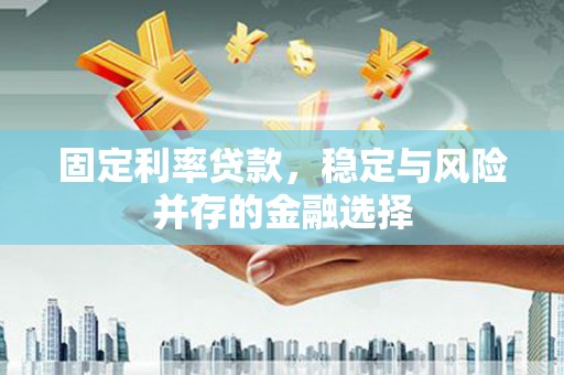 浑南固定利率贷款，稳定与风险并存的金融选择