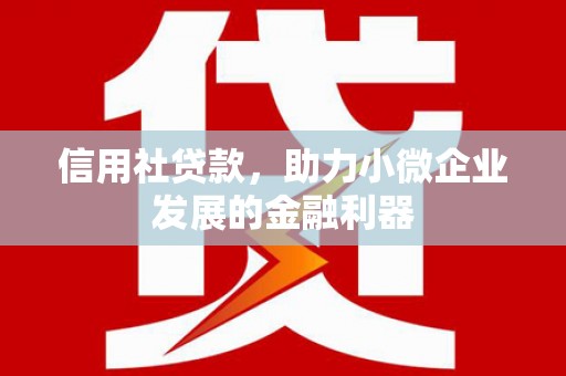 浑南信用社贷款，助力小微企业发展的金融利器