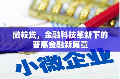 浑南微粒贷，金融科技革新下的普惠金融新篇章
