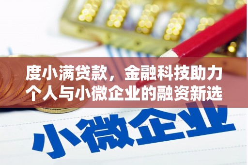 浑南度小满贷款，金融科技助力个人与小微企业的融资新选择