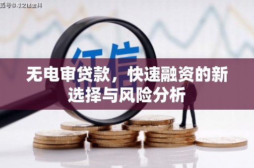 浑南无电审贷款，快速融资的新选择与风险分析