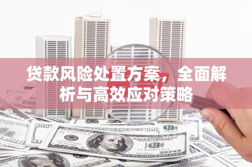 浑南贷款风险处置方案，全面解析与高效应对策略