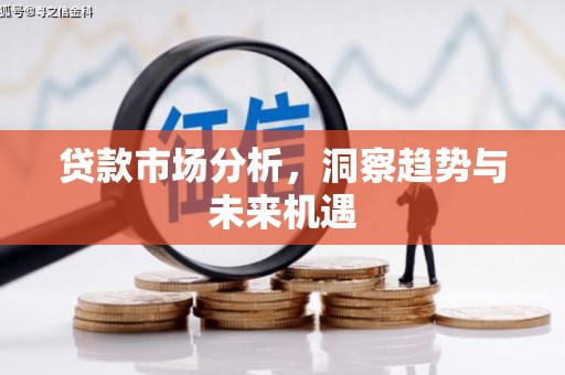 浑南贷款市场分析，洞察趋势与未来机遇