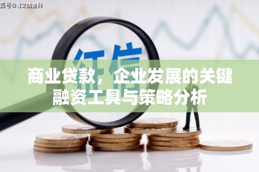 浑南商业贷款，企业发展的关键融资工具与策略分析