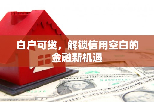浑南白户可贷，解锁信用空白的金融新机遇