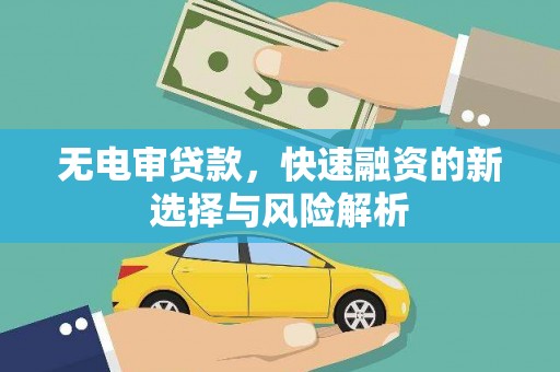 浑南无电审贷款，快速融资的新选择与风险解析
