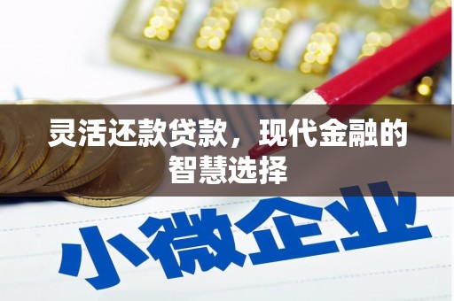 浑南灵活还款贷款，现代金融的智慧选择
