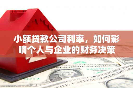 浑南小额贷款公司利率，如何影响个人与企业的财务决策