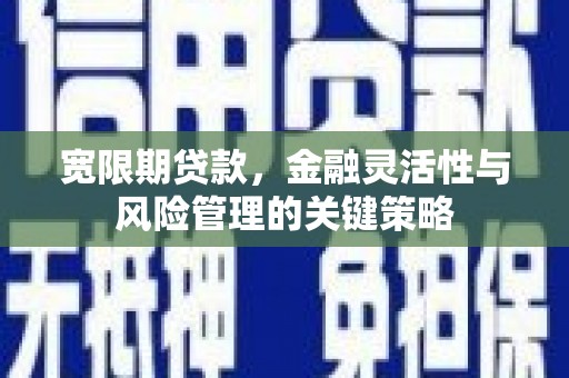 浑南宽限期贷款，金融灵活性与风险管理的关键策略
