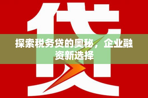 浑南探索税务贷的奥秘，企业融资新选择
