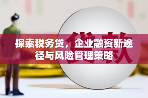 浑南探索税务贷，企业融资新途径与风险管理策略