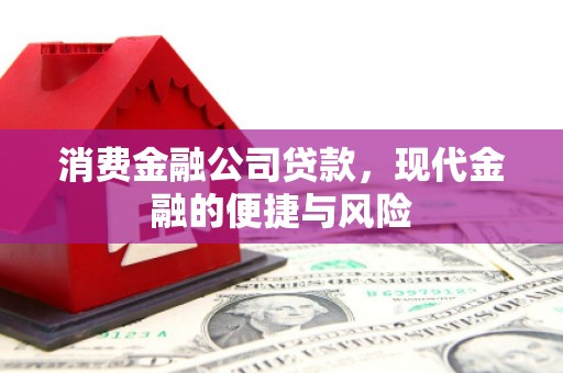 浑南消费金融公司贷款，现代金融的便捷与风险