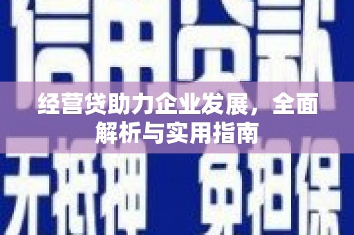 浑南经营贷助力企业发展，全面解析与实用指南