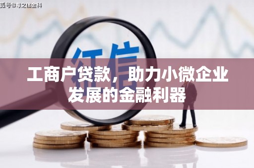 浑南工商户贷款，助力小微企业发展的金融利器