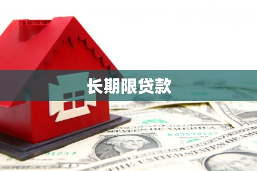 浑南长期限贷款