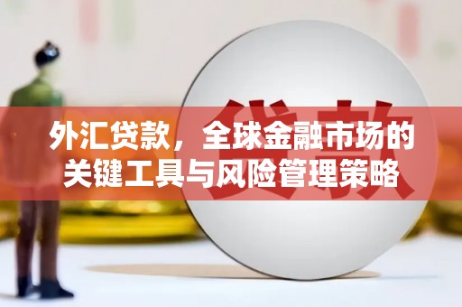 浑南外汇贷款，全球金融市场的关键工具与风险管理策略