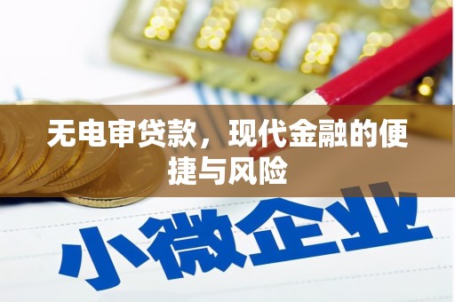 浑南无电审贷款，现代金融的便捷与风险