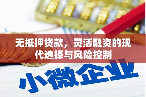 浑南无抵押贷款，灵活融资的现代选择与风险控制