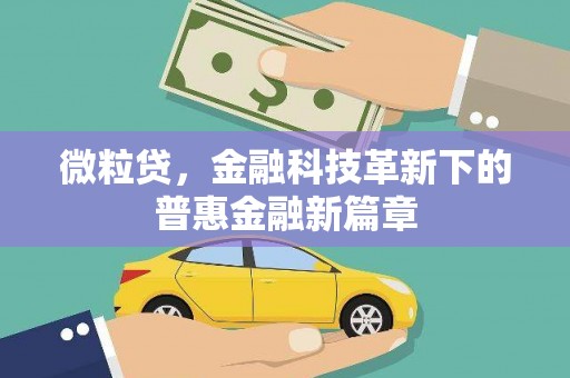 浑南微粒贷，金融科技革新下的普惠金融新篇章
