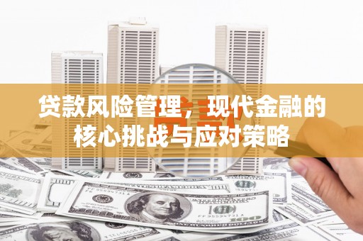 浑南贷款风险管理，现代金融的核心挑战与应对策略