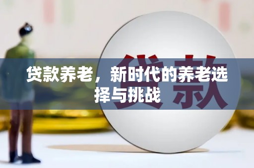 浑南贷款养老，新时代的养老选择与挑战