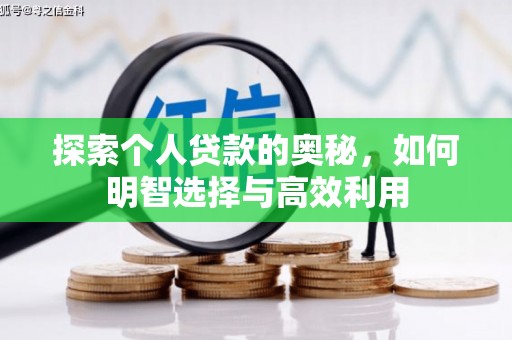浑南探索个人贷款的奥秘，如何明智选择与高效利用