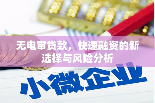 浑南无电审贷款，快速融资的新选择与风险分析