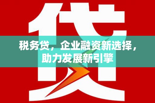 浑南税务贷，企业融资新选择，助力发展新引擎