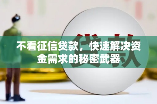 浑南不看征信贷款，快速解决资金需求的秘密武器