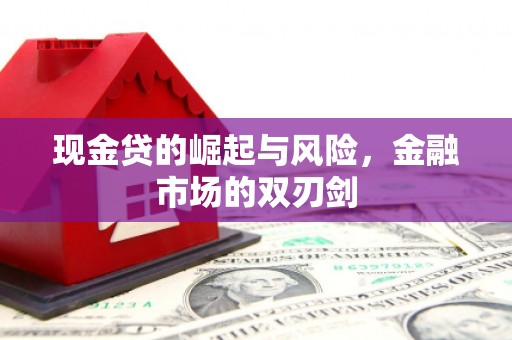 浑南现金贷的崛起与风险，金融市场的双刃剑