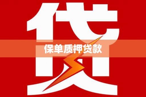 浑南保单质押贷款