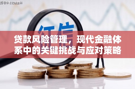 浑南贷款风险管理，现代金融体系中的关键挑战与应对策略